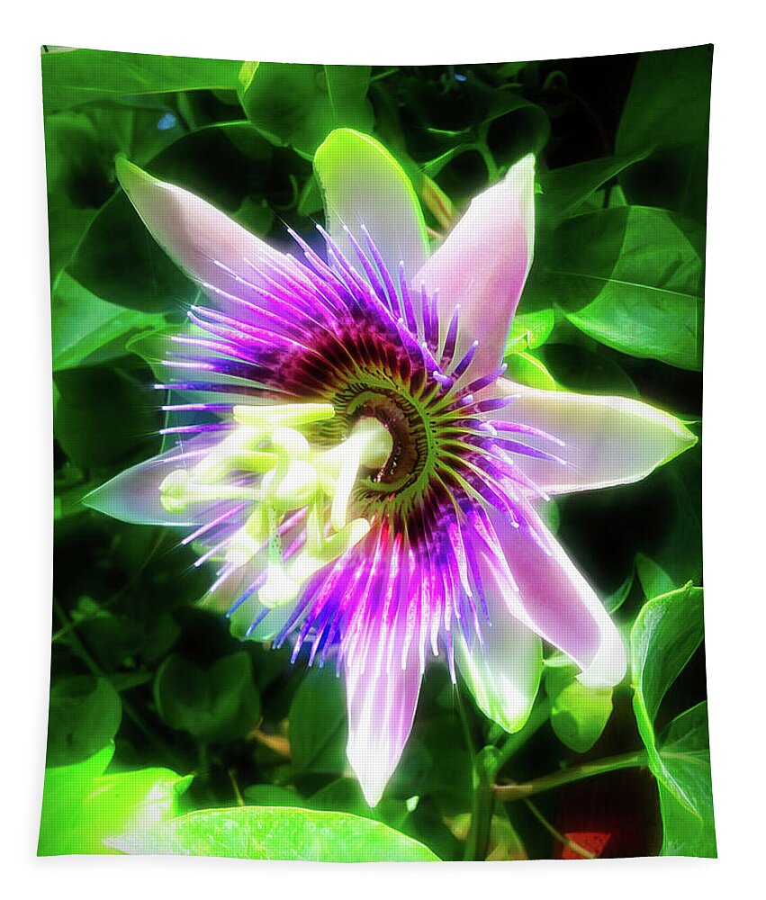 Passion Flower Tapestry featuring the photograph City Flare Passion Flower 5 by Aimee L Maher ALM GALLERY