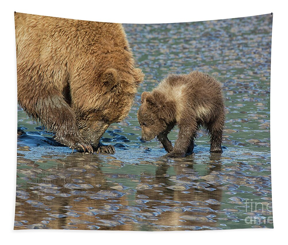Grizzly Bears Tapestry featuring the photograph Clamming lesson by Paulette Sinclair