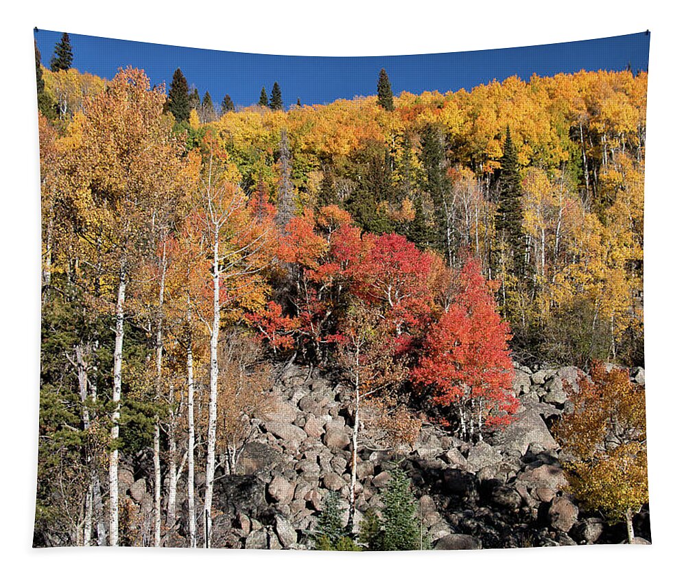 Fall Colors Tapestry featuring the photograph Clash of Fall Colors by Tony Hake