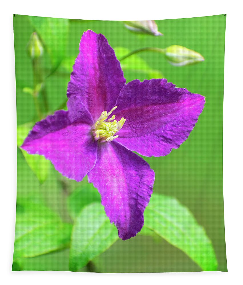 Clematis Tapestry featuring the photograph Clematis Flower by Christina Rollo