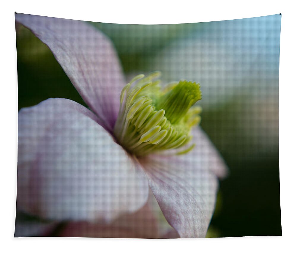 Flower Tapestry featuring the photograph Clematis flower face of Spring by Spikey Mouse Photography