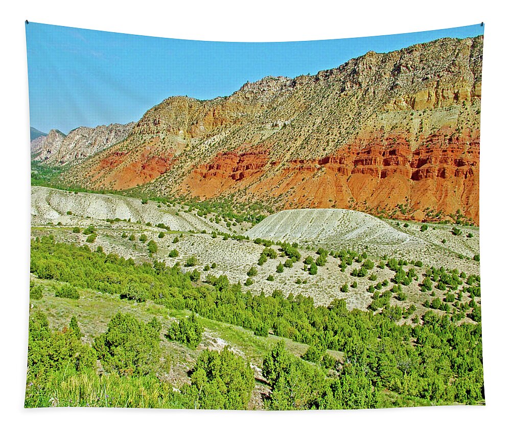 Cliffs In Flaming Gorge National Recreation Area Tapestry featuring the photograph Cliffs in Flaming Gorge National Recreation Area, Utah by Ruth Hager