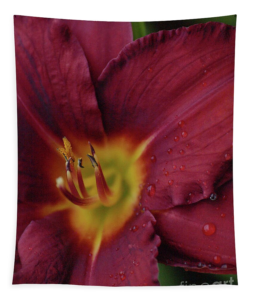 Flower Tapestry featuring the photograph Close Up Day Lily by Vivian Martin
