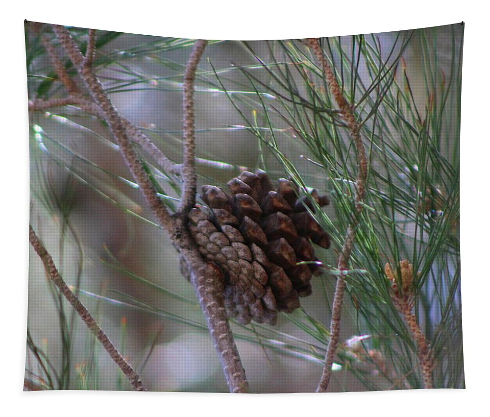 Closeup Tapestry featuring the photograph Close Up of Pine Tree Branches and Pinecone in Nevada by Colleen Cornelius