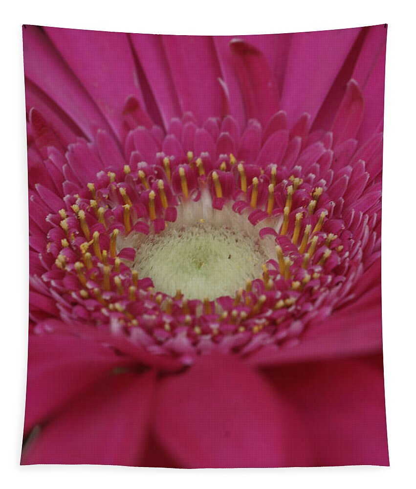 Flowers Tapestry featuring the photograph Closeup of a flower by Dimitry Papkov