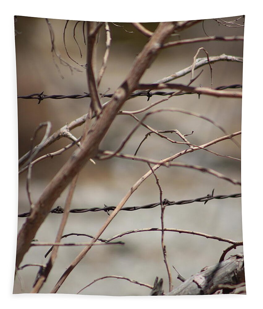 Golden Tapestry featuring the photograph Closeup of Dried Branches against Barbed Wire Fence by Colleen Cornelius