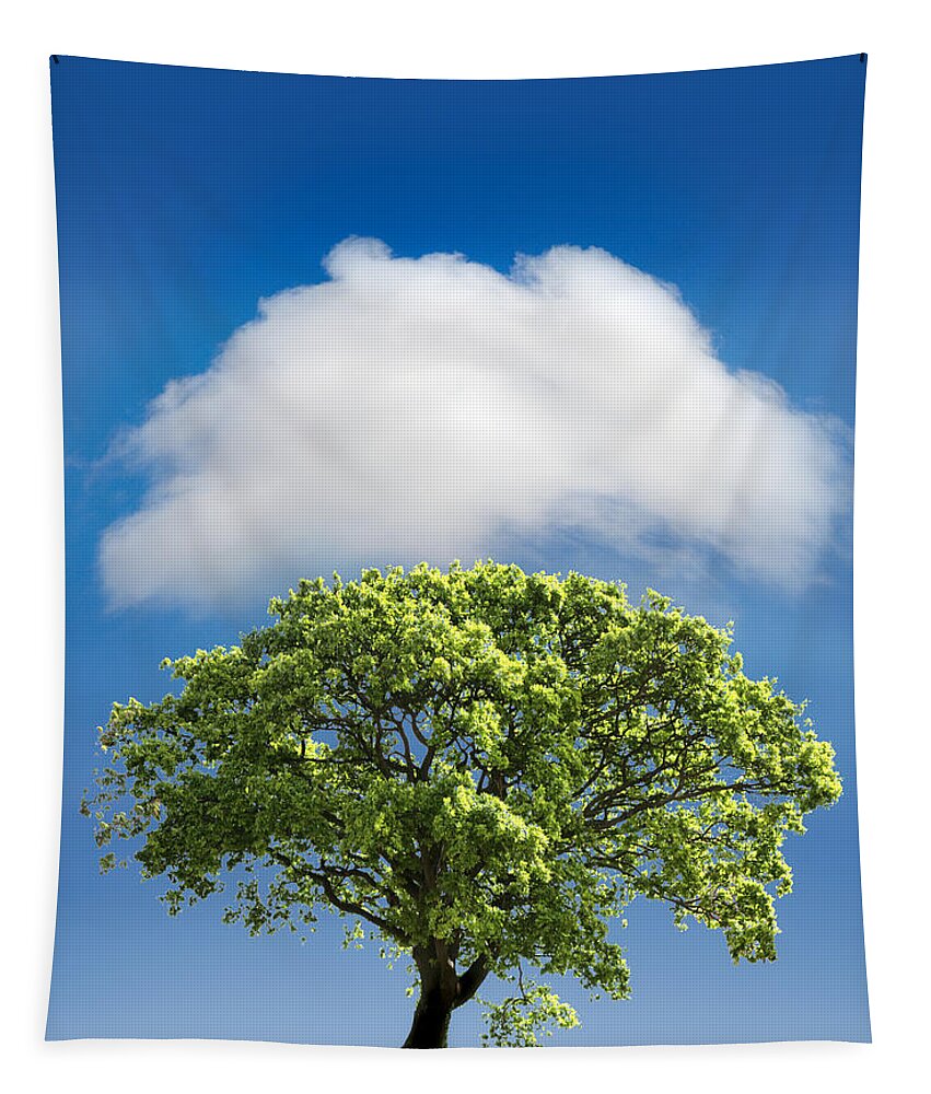 Tree Tapestry featuring the photograph Cloud Cover by Mal Bray