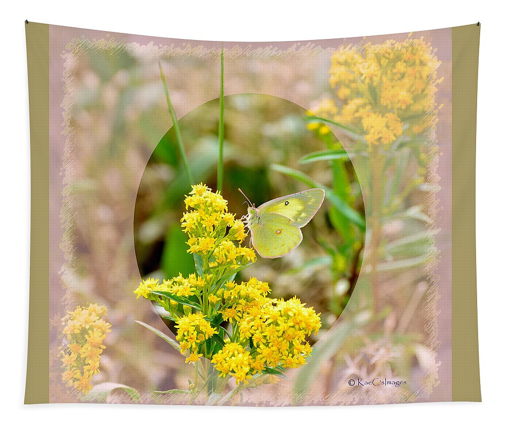 Butterfly Tapestry featuring the digital art Clouded Sulphur Butterfly Sipping Nectar by Kae Cheatham