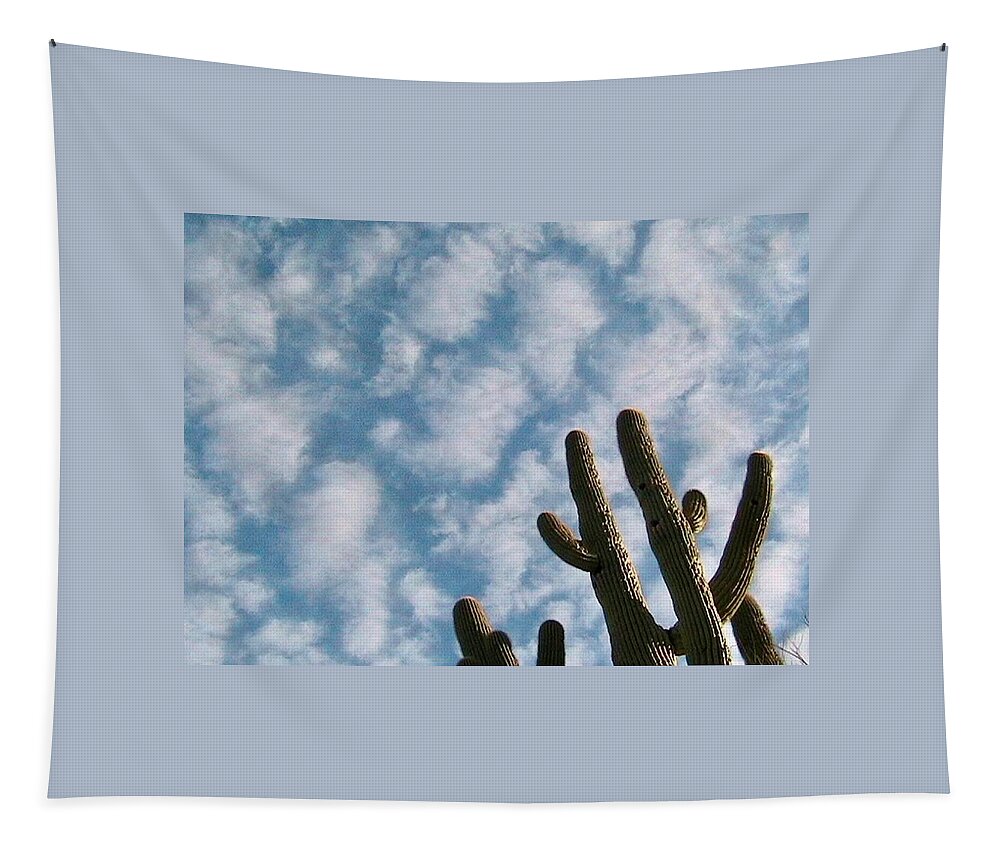 Arizona Tapestry featuring the photograph Cloud Watchers 2 by Judy Kennedy