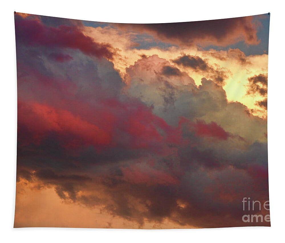 Sunsets Tapestry featuring the photograph Cloudscape Sunset 46 by James BO Insogna