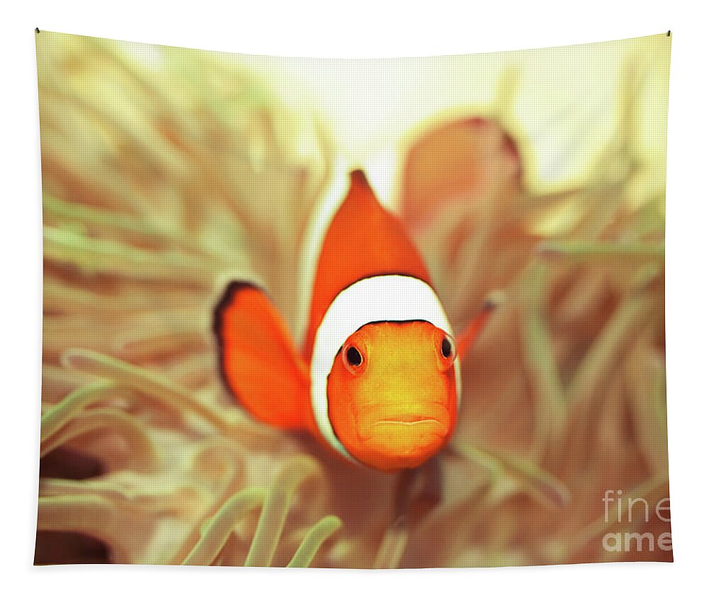 Fish Tapestry featuring the photograph Clownfish by MotHaiBaPhoto Prints