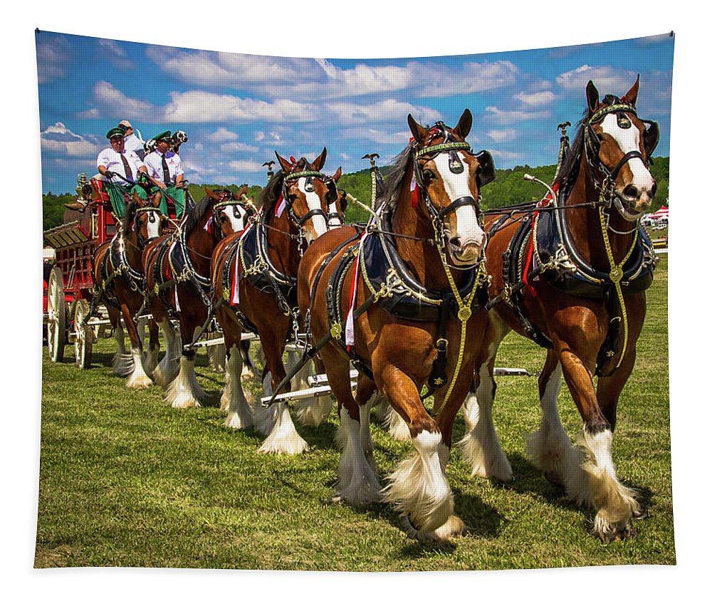 Horse Tapestry featuring the photograph Budweiser Clydesdale Horses by Robert L Jackson