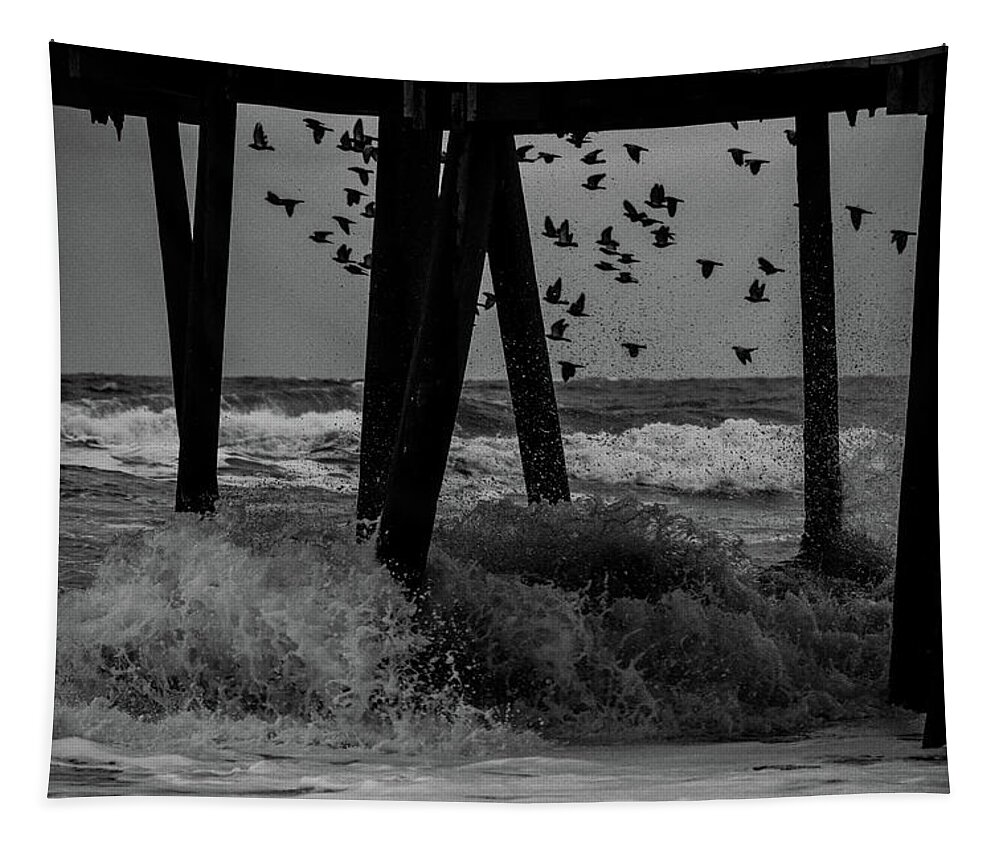Bird Tapestry featuring the photograph Coastal Movements by Nicole Lloyd