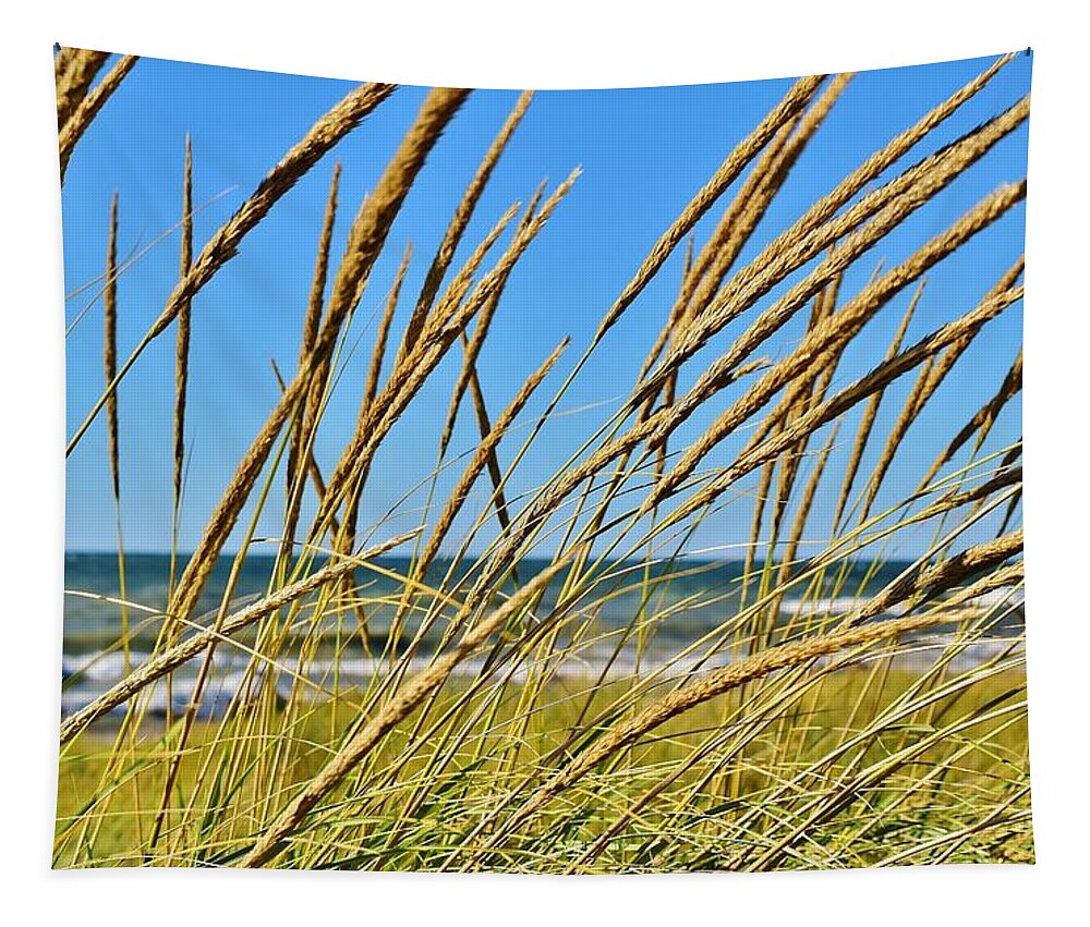Coastal Living Tapestry featuring the photograph Coastal Relaxation by Nicole Lloyd