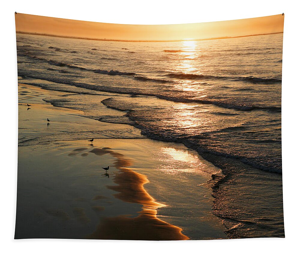 Beach Tapestry featuring the photograph Coastal Sunrise by Marilyn Hunt