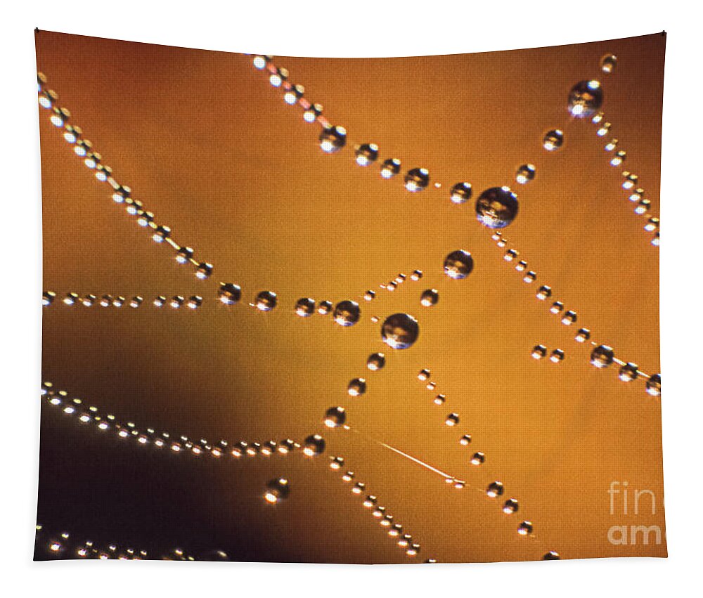 Dew Tapestry featuring the photograph Cobweb with Dew Drops by Heiko Koehrer-Wagner
