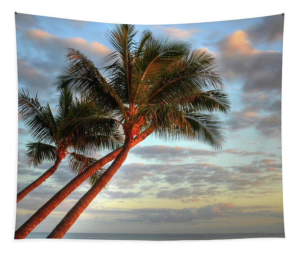 Coconut Palms Tapestry featuring the photograph Coconut Palms by Kelly Wade
