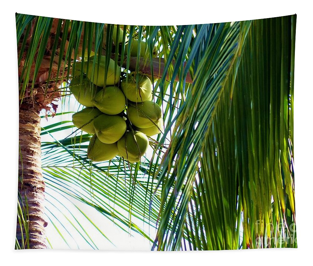 Palm Trees Tapestry featuring the photograph Coconuts by Rosanne Licciardi