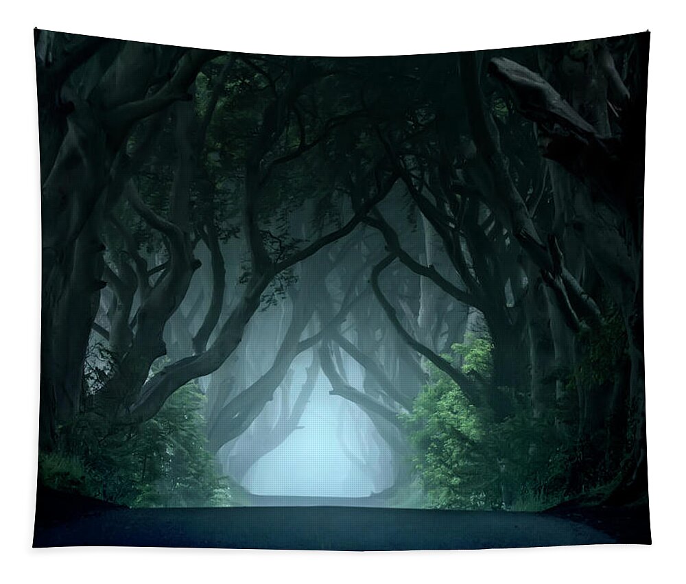 Ireland Tapestry featuring the photograph Cold and blue morning at Dark hedges by Jaroslaw Blaminsky