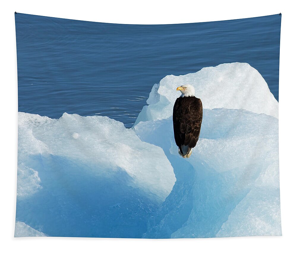 Cold Feet Tapestry featuring the photograph Cold Feet -- Bald Eagle on an Iceberg in Disenchantment Bay, Alaska by Darin Volpe