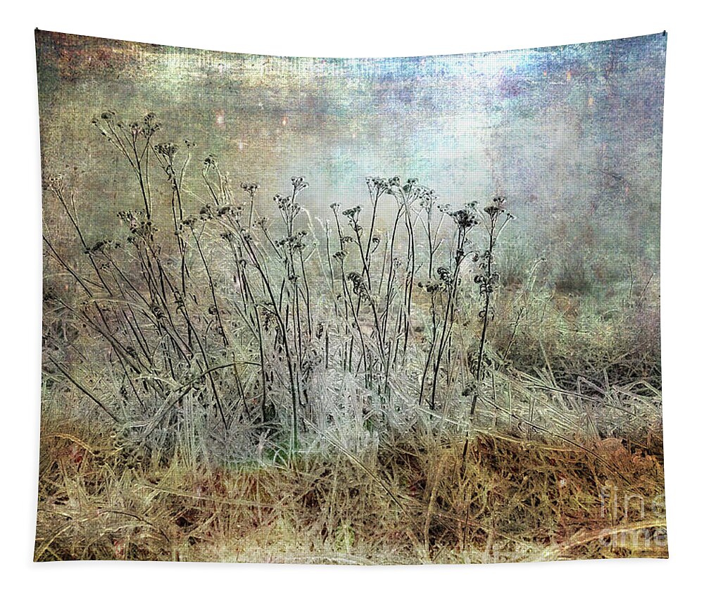 Cold Tapestry featuring the photograph Cold Flowers by Randi Grace Nilsberg