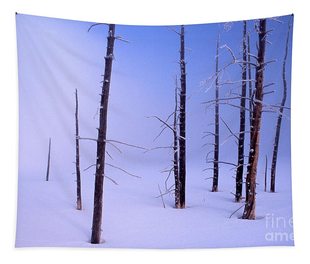 Winter Scene Tapestry featuring the photograph Cold Morning by Edward R Wisell