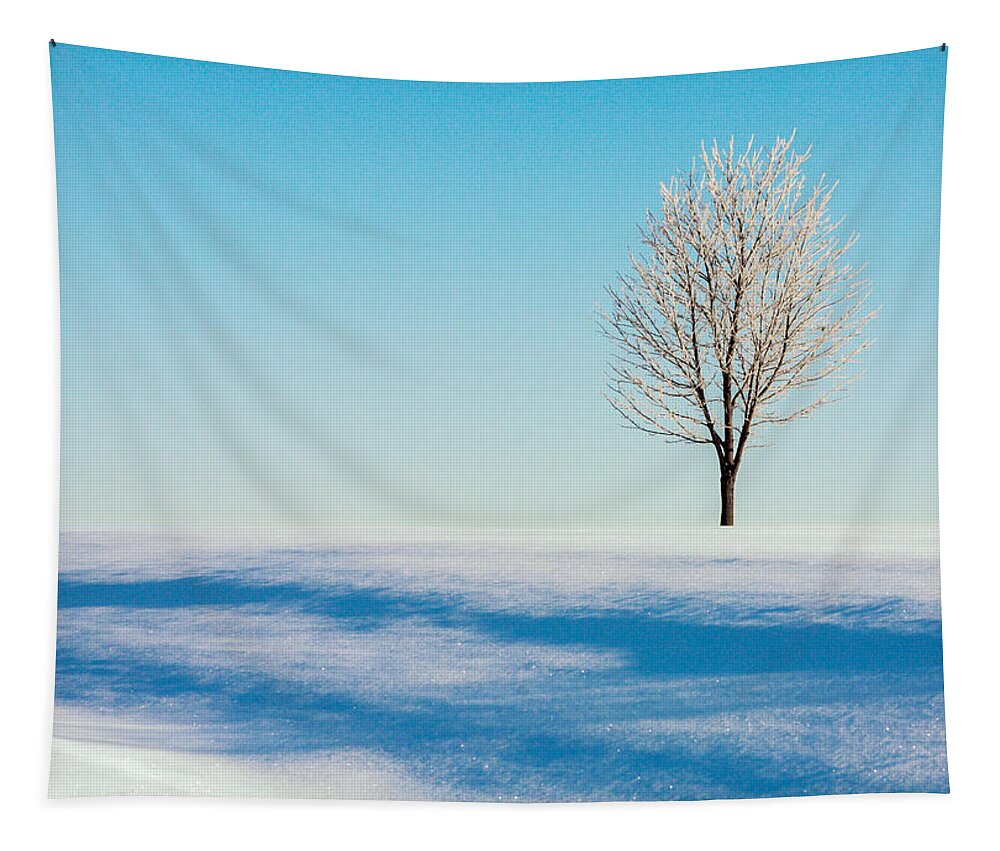 Winter Tapestry featuring the photograph Cold Snap by Todd Klassy