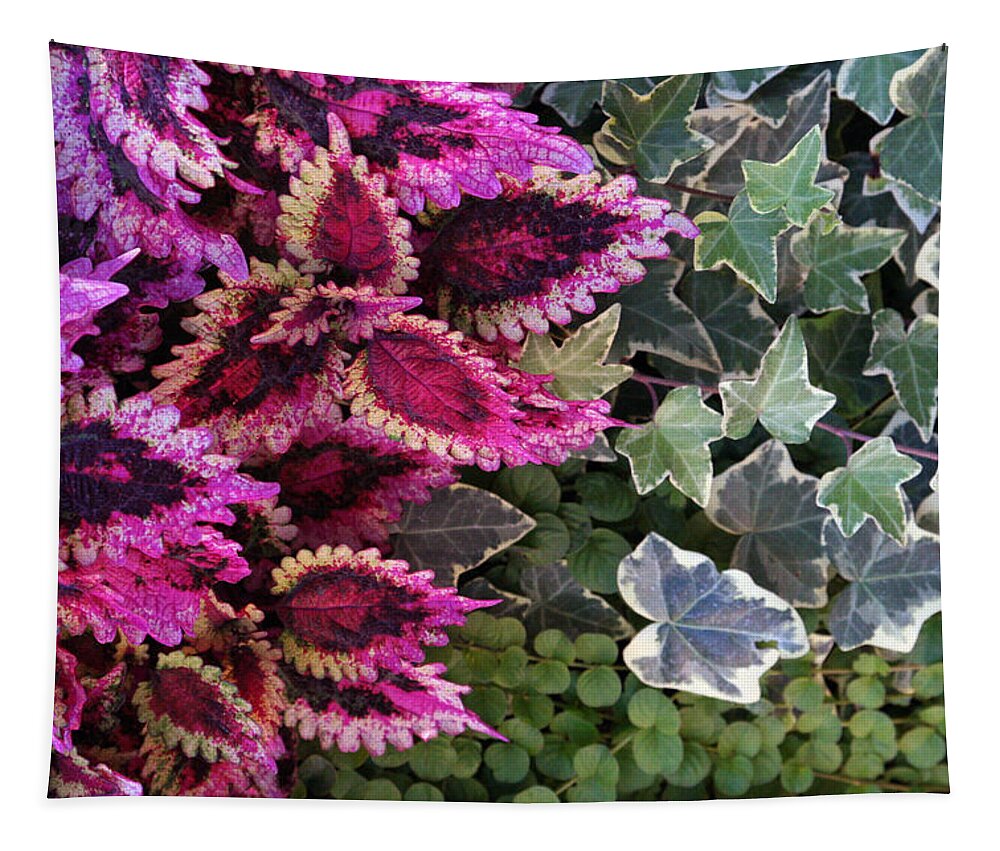 Coleus Tapestry featuring the mixed media Coleus and Ivy- Photo by Linda Woods by Linda Woods