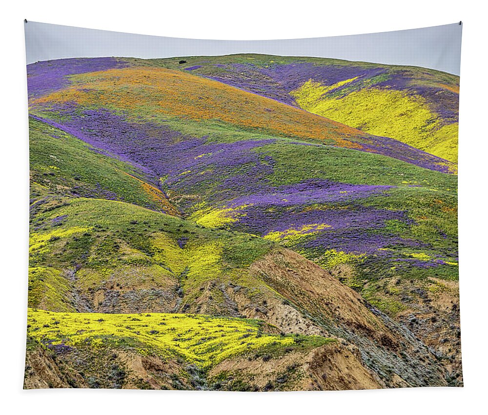 Blm Tapestry featuring the photograph Color Mountain II by Peter Tellone