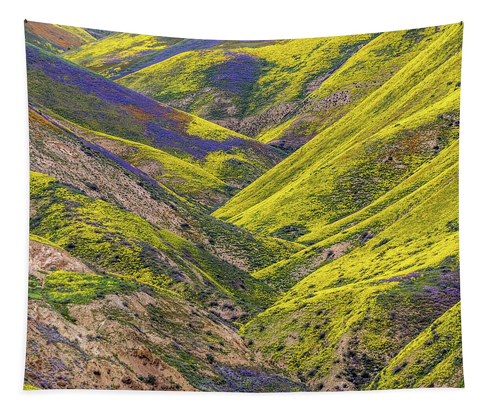 Blm Tapestry featuring the photograph Color Valley by Peter Tellone