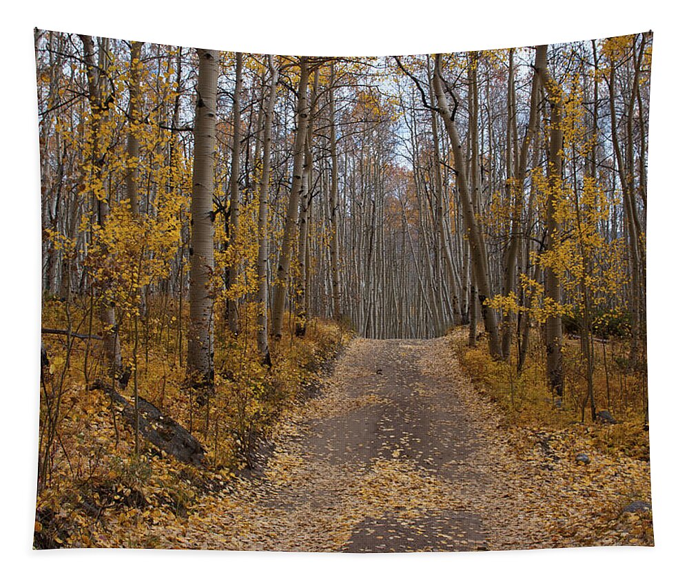 Aspen Tapestry featuring the photograph Colorado Autumn Aspen and Road by Cascade Colors