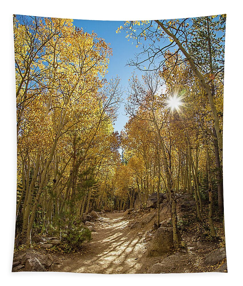 Aspen Tapestry featuring the photograph Colorado Gold by Tim Stanley