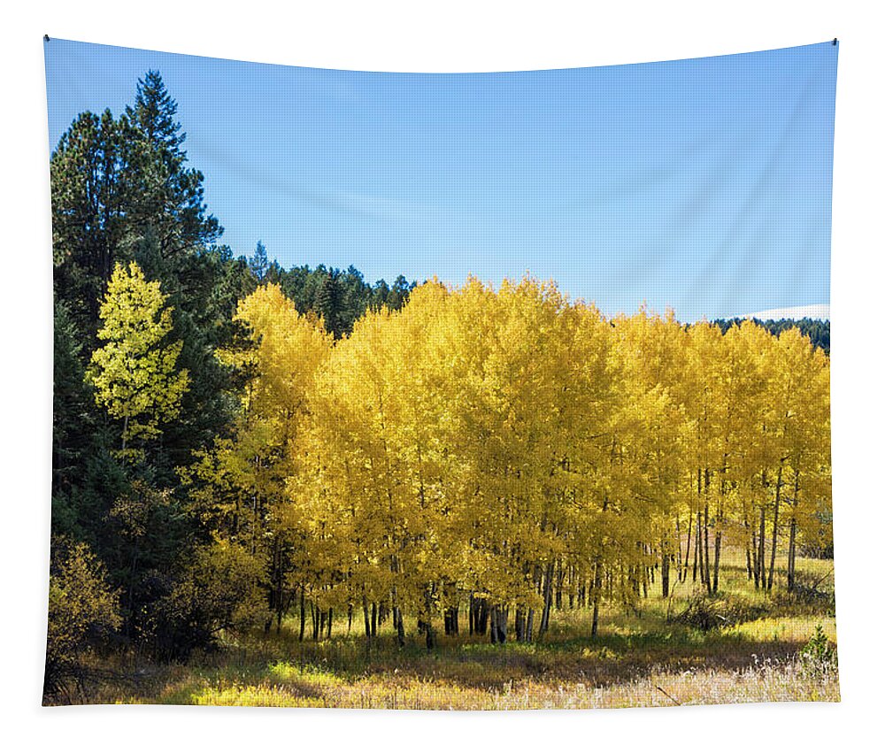 Landscape Tapestry featuring the photograph Colorado Golden Aspen by Lorraine Baum