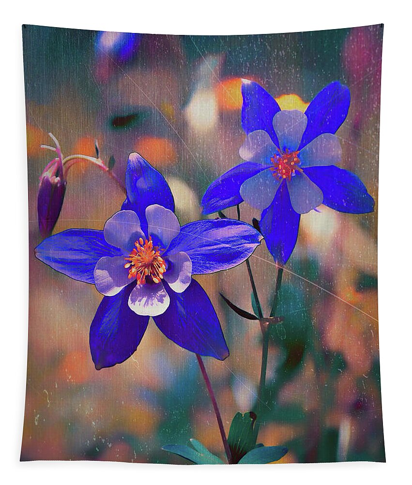 Blossums Tapestry featuring the photograph Columbine - Colorado State Flower by OLena Art by Lena Owens - Vibrant DESIGN