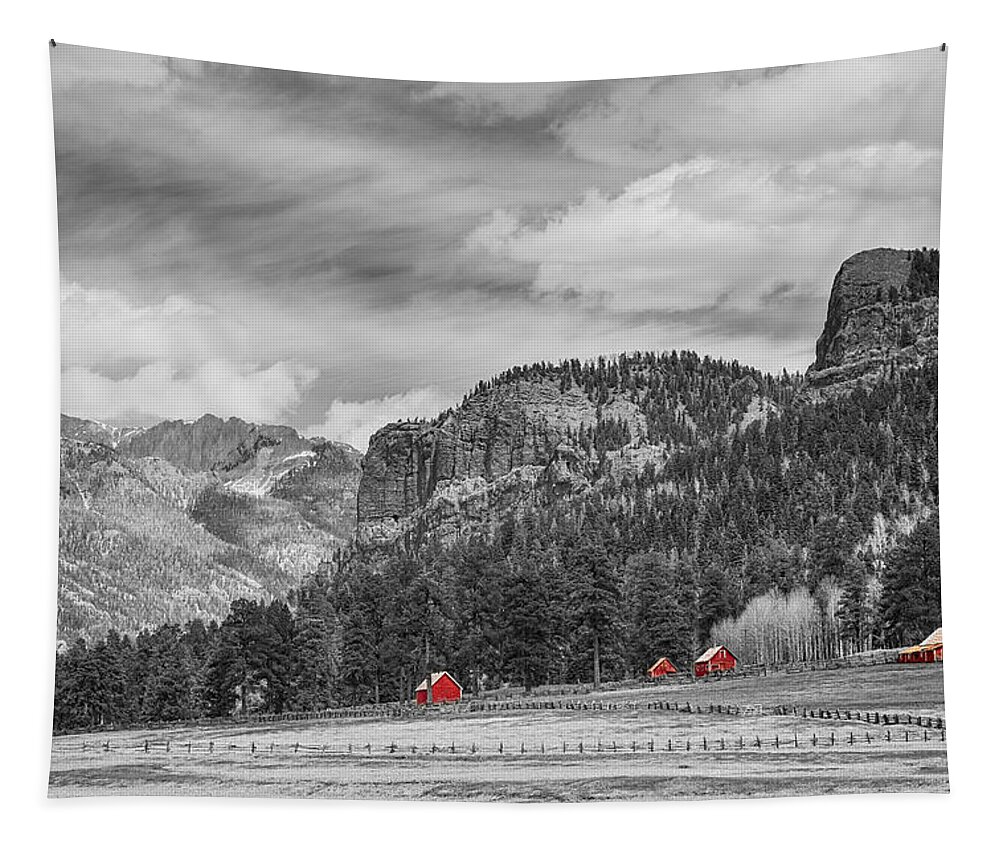 Barn Tapestry featuring the photograph Colorado Western Landscape Red Barns by James BO Insogna