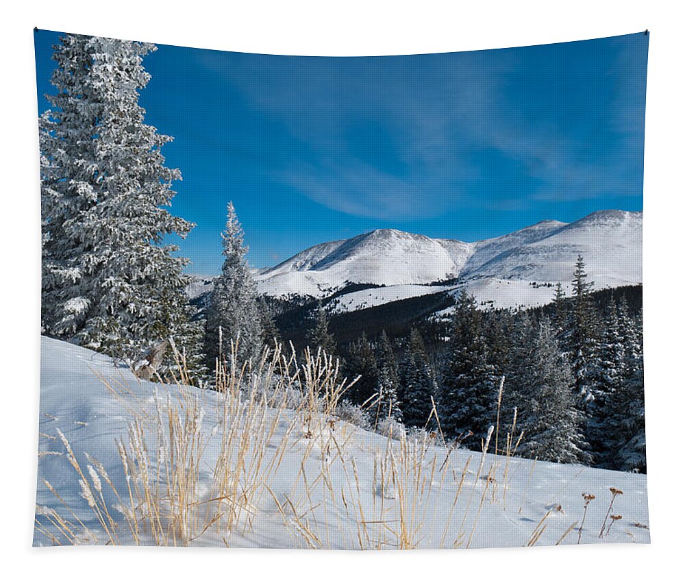 Snow Tapestry featuring the photograph Colorado Winter Beauty by Cascade Colors