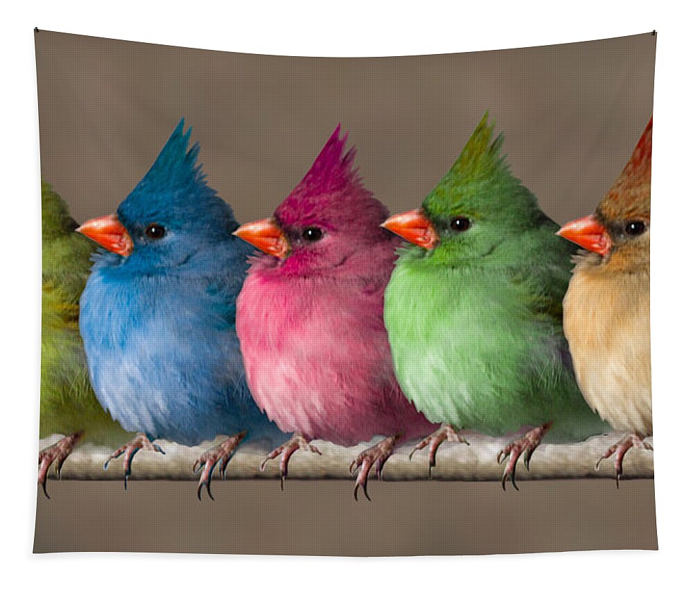 Birds Tapestry featuring the photograph Colored Chicks by John Haldane