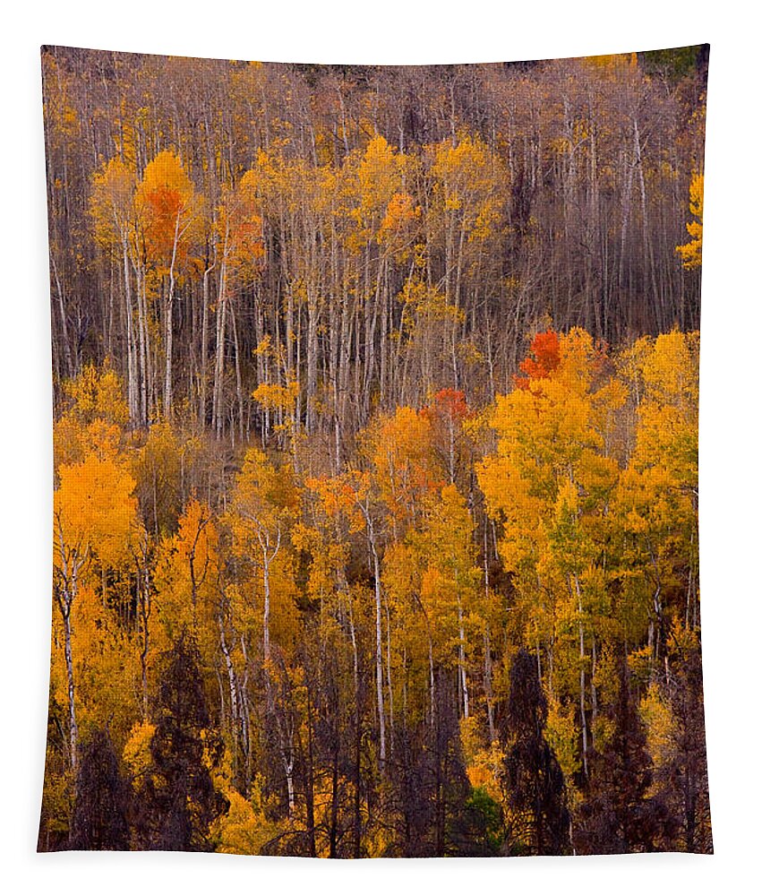Vertical Tapestry featuring the photograph Colorful Colorado Autumn Landscape Vertical Image by James BO Insogna