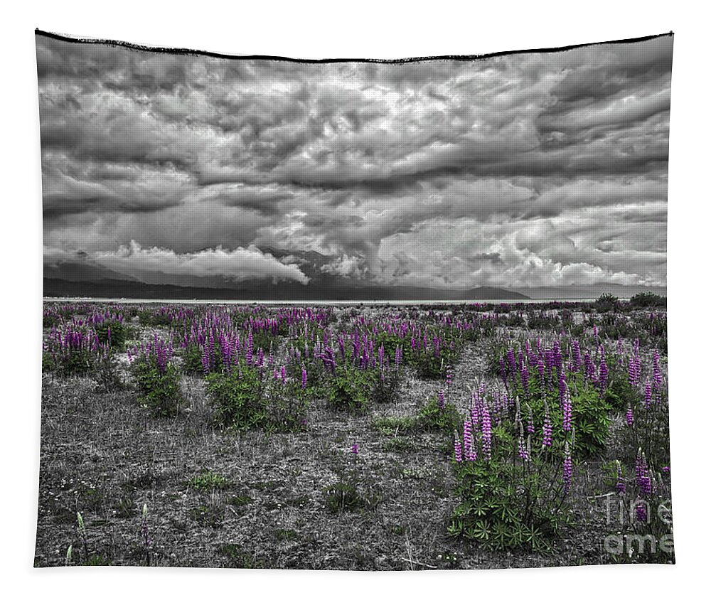 Lupine And Log Tapestry featuring the photograph Colorful Spring by Mitch Shindelbower