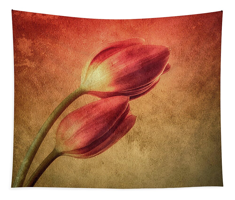 Tulips Tapestry featuring the photograph Colorful Tulips Textured by Wim Lanclus