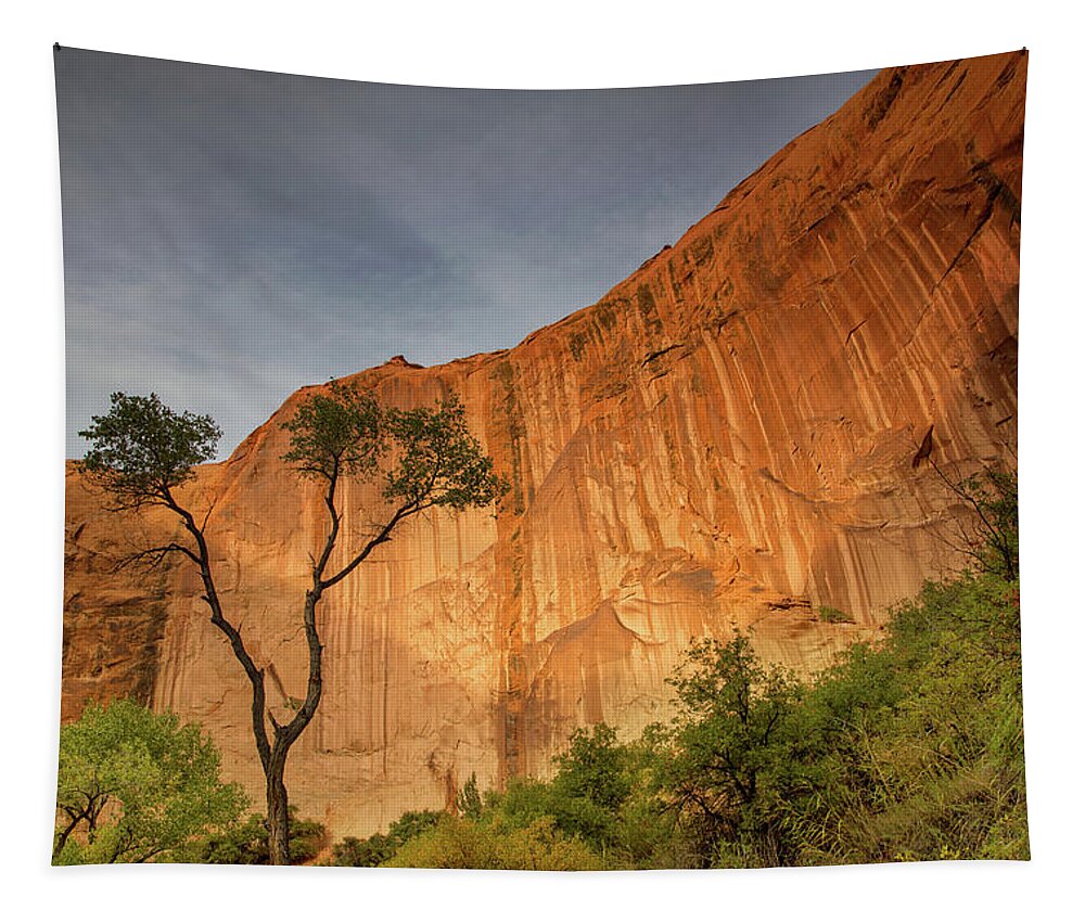 Coyote Gulch Tapestry featuring the photograph Colors of bliss by Kunal Mehra