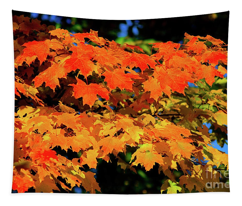 Michigan Tapestry featuring the photograph Colors of the Autumn by Rich S