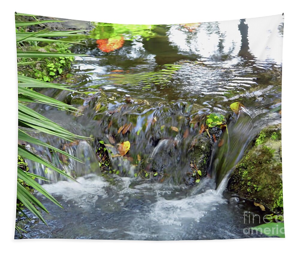 Rainbow Springs Tapestry featuring the photograph Colors Of The Falls by D Hackett