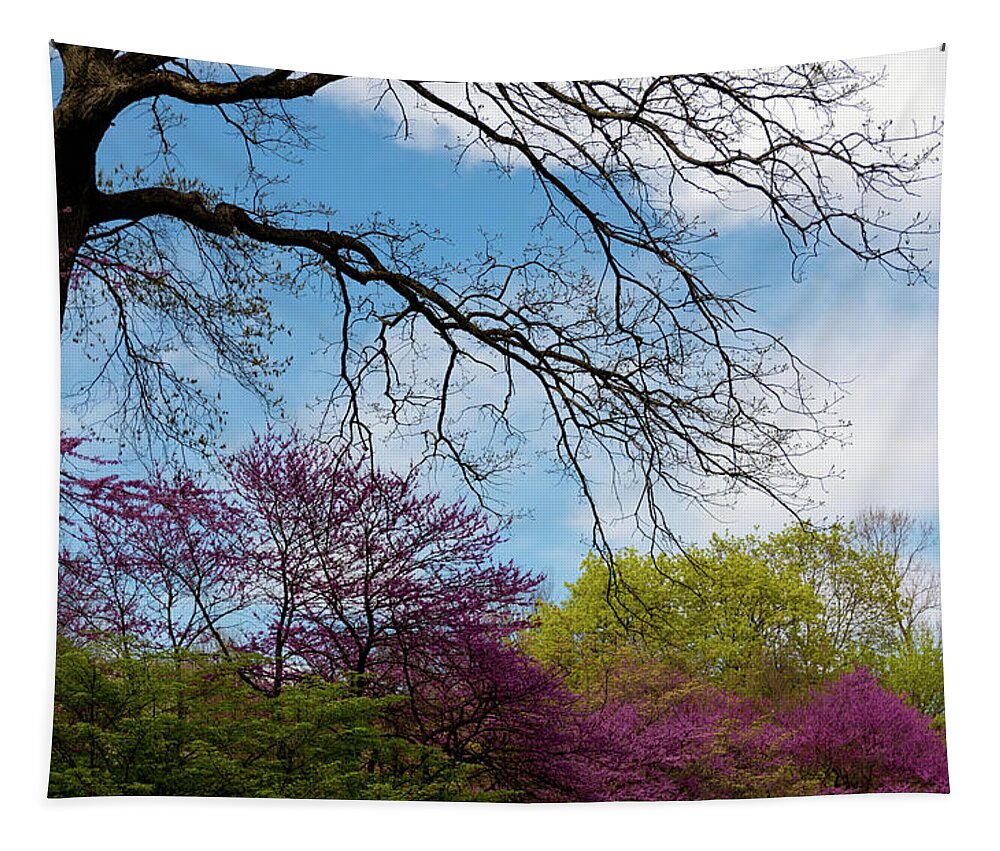 Spring Tapestry featuring the photograph Colors by Sam Rino