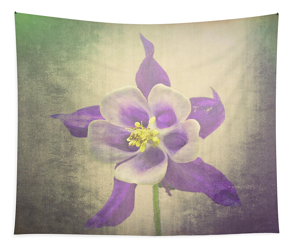Columbine Tapestry featuring the photograph Columbine by Lynn Bolt