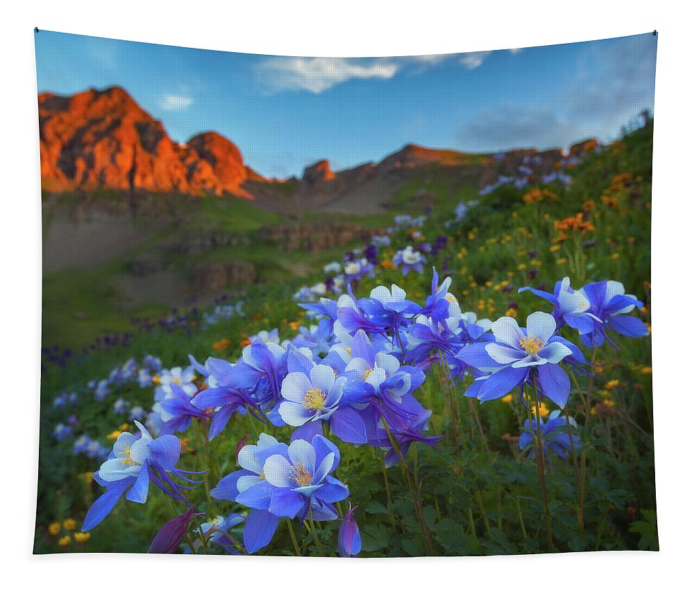 Colorado Tapestry featuring the photograph Columbine Sunrise by Darren White