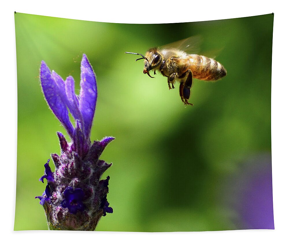 Honeybee Tapestry featuring the photograph Coming In For A Landing by Brian Tada