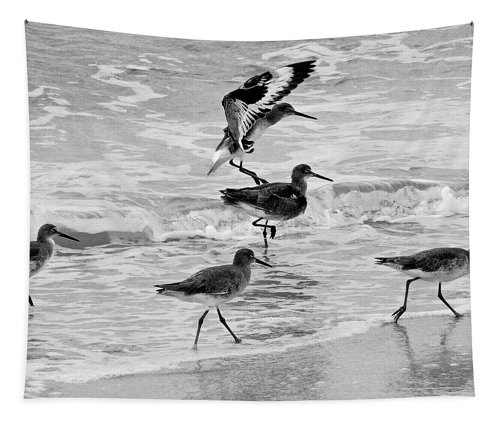 Boats Tapestry featuring the photograph Coming in for a Landing by Kathi Isserman