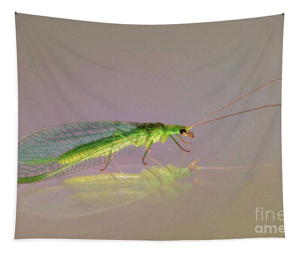 Animal Tapestry featuring the photograph Common Green Lacewing - Chrysoperla carnea by Jivko Nakev