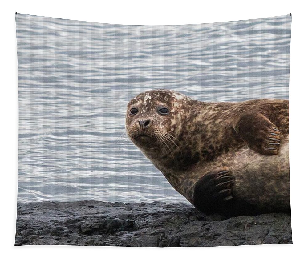 Nature Tapestry featuring the photograph Common Seal Portrait by Wendy Cooper
